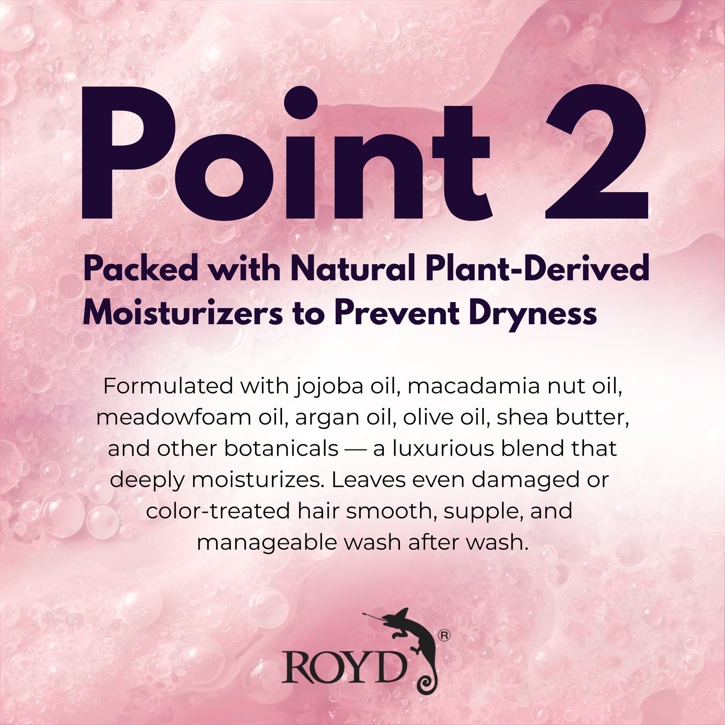 ROYD Color-Depositing Pink Shampoo 10.1 fl oz (300 mL) – Maintains Vibrant Pink Hair & Prevents Yellowing Japanese Hair Color Shampoo Made In Japan