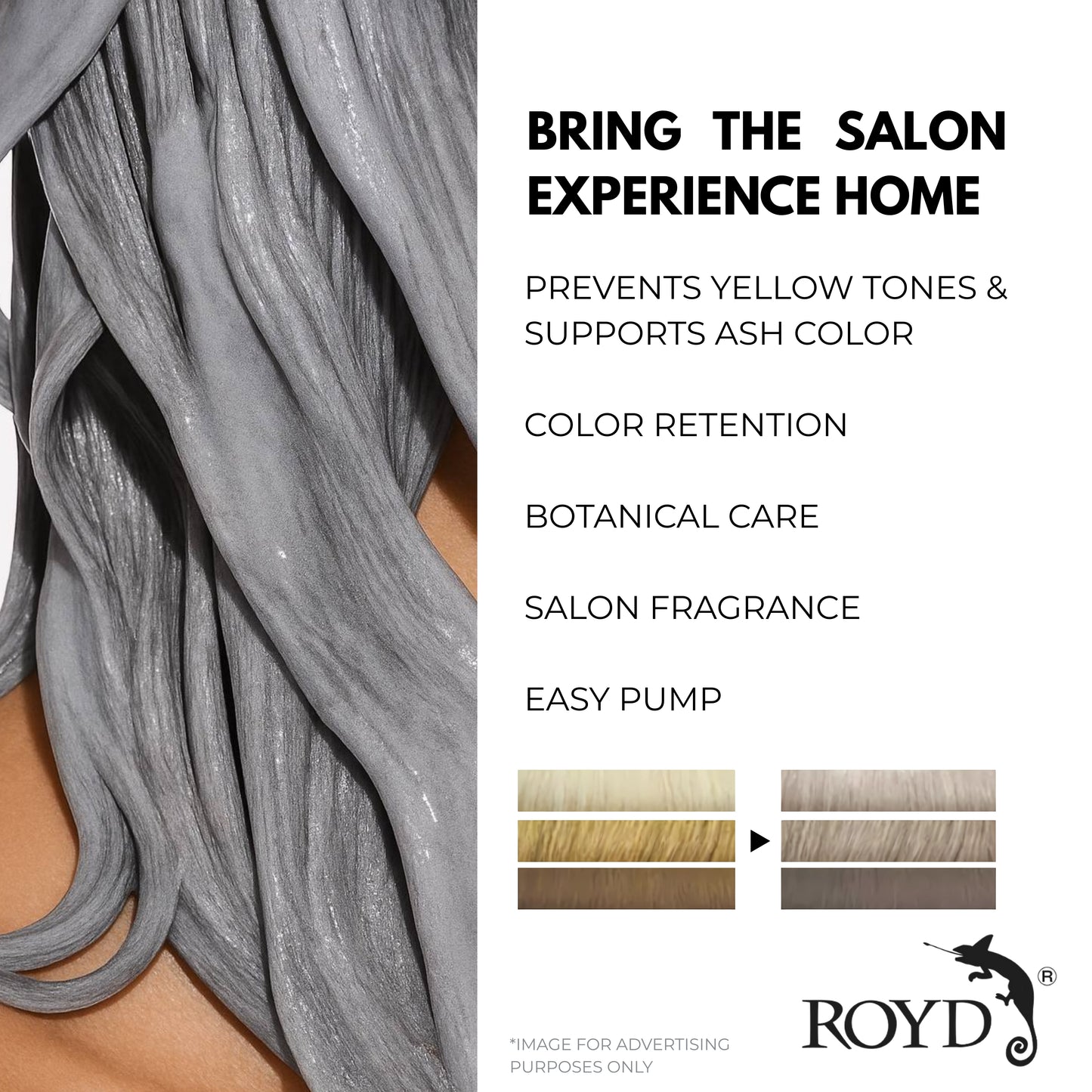 ROYD Color-Depositing Silver Shampoo 10.1 fl oz (300 mL) – Neutralizes Yellow Tones & Maintains Cool Ash Shades Japanese Hair Color Shampoo Made In Japan