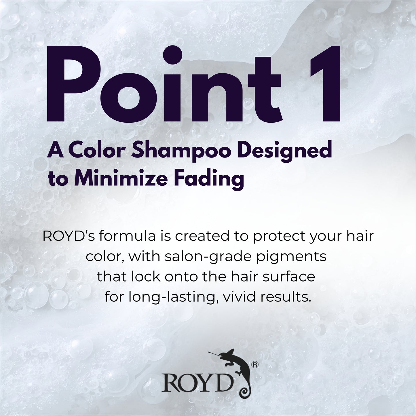 ROYD Color-Depositing Silver Shampoo 10.1 fl oz (300 mL) – Neutralizes Yellow Tones & Maintains Cool Ash Shades Japanese Hair Color Shampoo Made In Japan