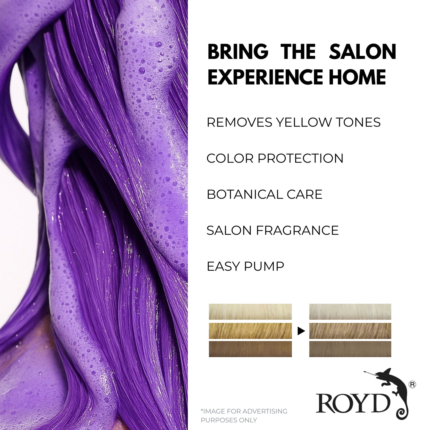ROYD Color-Depositing Purple Shampoo 10.1 fl oz (300 mL) – Neutralizes Yellow Tones & Brightens Blonde, Silver, and Bleached Hair Japanese Hair Color Shampoo Made In Japan