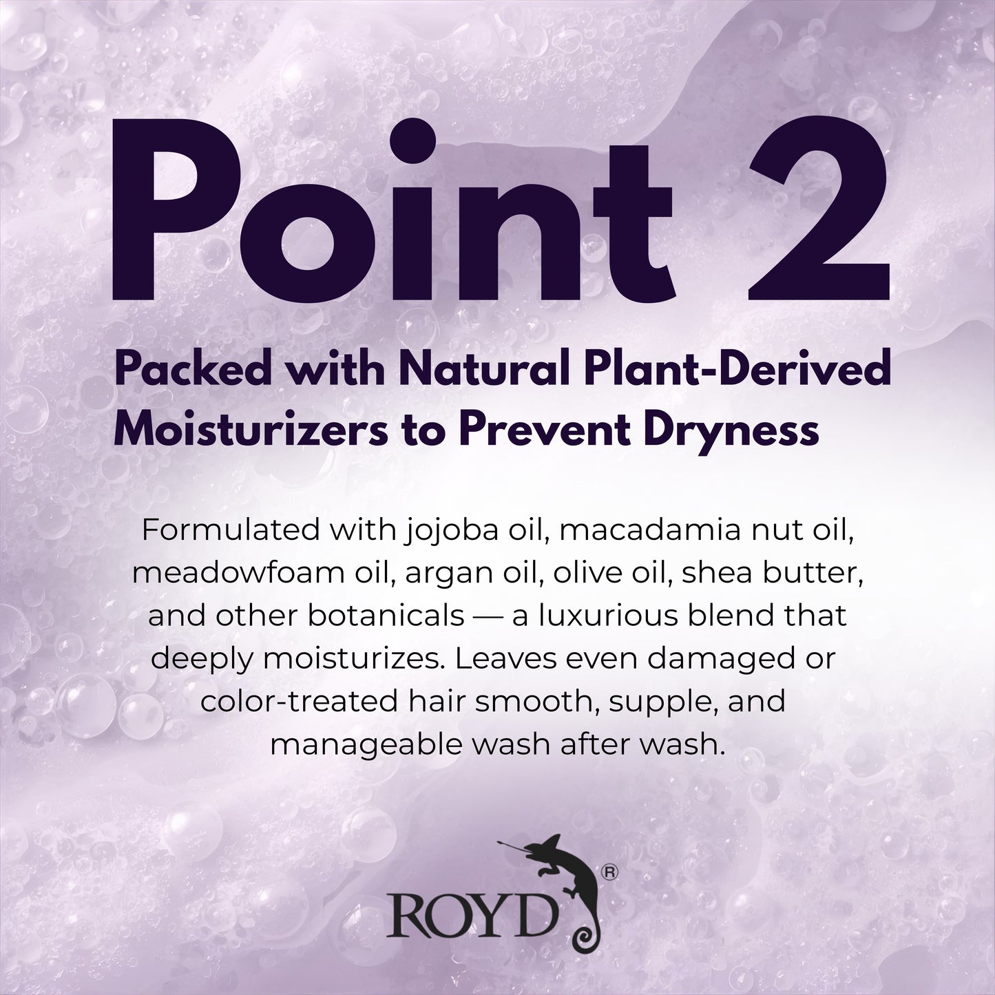 ROYD Color-Depositing Purple Shampoo 10.1 fl oz (300 mL) – Neutralizes Yellow Tones & Brightens Blonde, Silver, and Bleached Hair Japanese Hair Color Shampoo Made In Japan