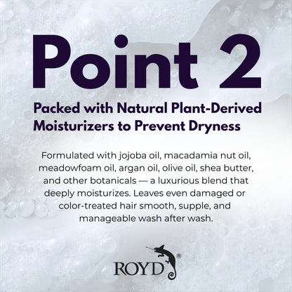 ROYD Color-Depositing Silver Shampoo 10.1 fl oz (300 mL) – Neutralizes Yellow Tones & Maintains Cool Ash Shades Japanese Hair Color Shampoo Made In Japan